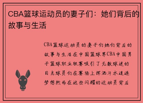 CBA篮球运动员的妻子们：她们背后的故事与生活